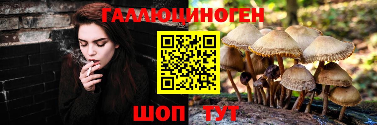 Галлюциногенные грибы MAGIC MUSHROOMS  Вход с VPN  Гусиноозёрск 